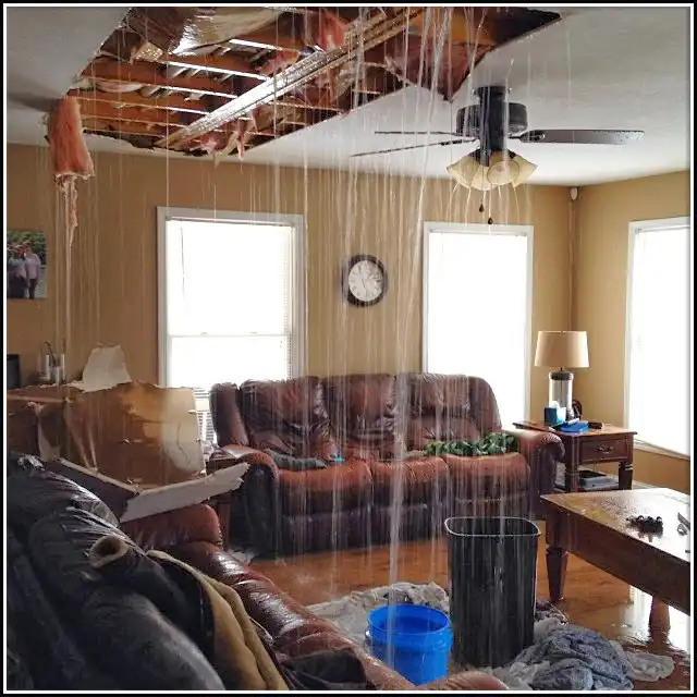 Water Damage Restoration services in Cleveland, TX