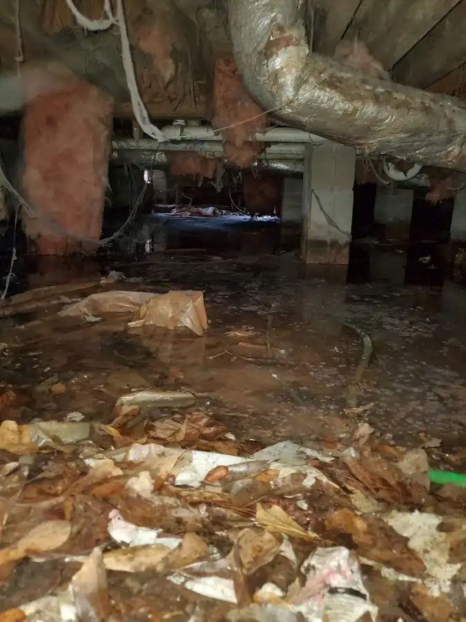 Crawl space flood assessment for Leak Detection & Repair in Cleveland